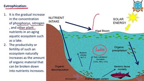 Eutrophication