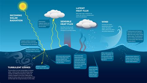 What causes ocean waves? - Woods Hole Oceanographic Institution