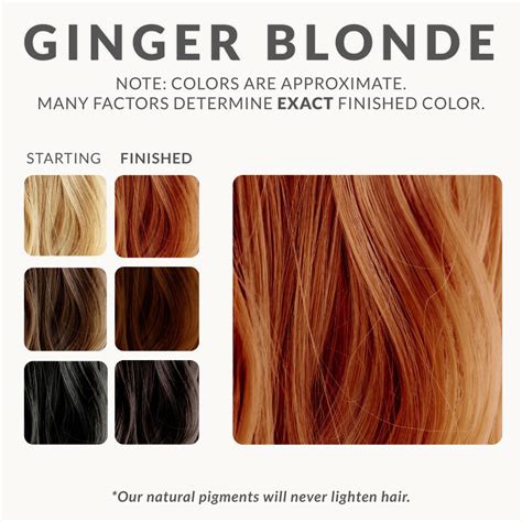 Ginger Blonde Henna Hair Dye – Henna Color Lab® – Henna Hair Dye