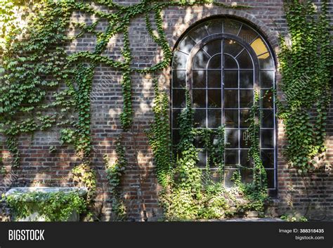 Arched Window Brick Image & Photo (Free Trial) | Bigstock