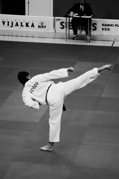 Taekwondo side kick by cafe86 on DeviantArt