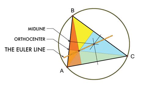 The Perfect Architecture Company: The Euler Line in Computational Architecture