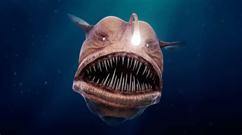 ArtStation - Big bad Angler fish ... | Angler fish, Fish, Cute animals