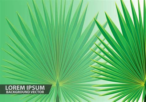 Palm Leaves Background Vector 145510 Vector Art at Vecteezy