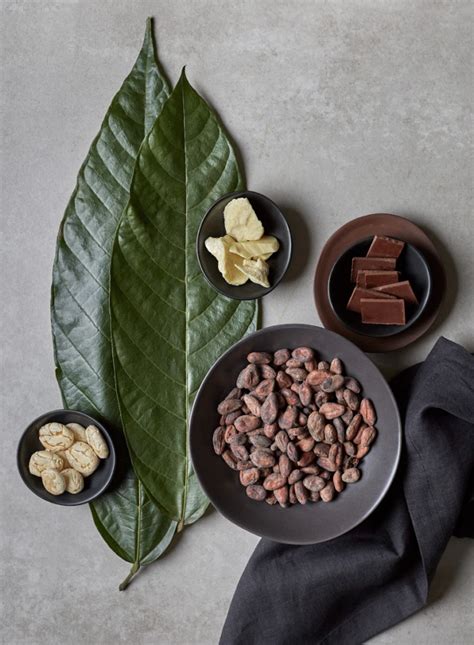 The Essence of Cacao Butter: Natural vs. Deodorised | Cacao Latitudes