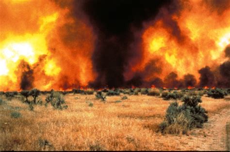 Invasive grass fuels increased fire activity | University of California