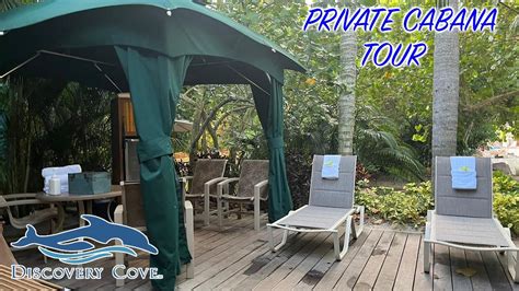 PRIVATE CABANA TOUR AT DISCOVERY COVE 🐬 - YouTube