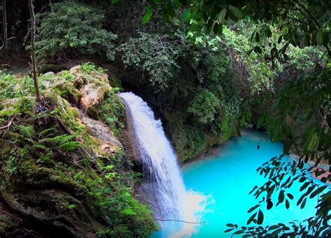 Kawasan Falls in Badian Cebu - Cebu City Tour