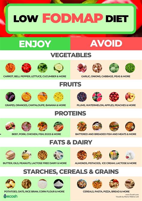 Low Fodmap High Fiber Foods - tipslytical