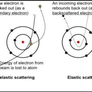 Elastic and inelastic scattering [2]. | Download Scientific Diagram