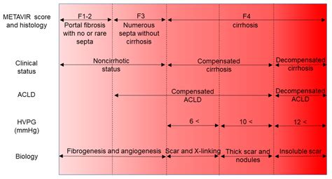 Serum Biomarkers of Liver Fibrosis Staging in the Era of the Concept “Compensated Advanced ...