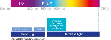 Computer Blue Light Macular Degeneration | Shelly Lighting