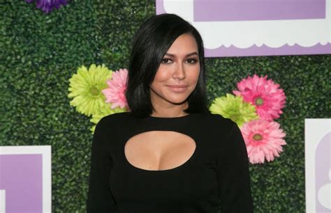 Naya Rivera Granted Joint Custody of Son Following Domestic Battery ...