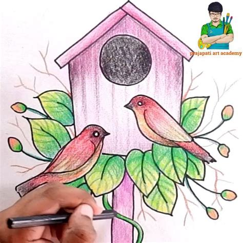 how to draw cute bird with bird house ।। with cryons colour ।। easy step by step [Video] in 2022 ...