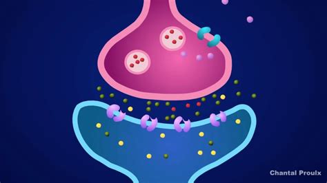 Neuron Synapse Animation