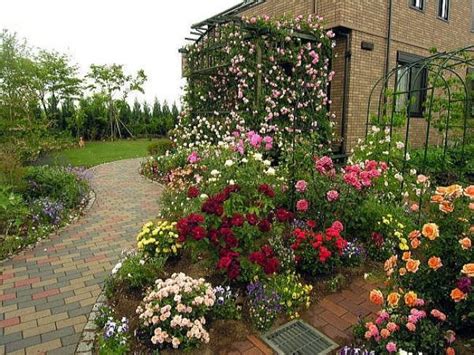 11 Beautiful Rose Garden Designs for Small Yards