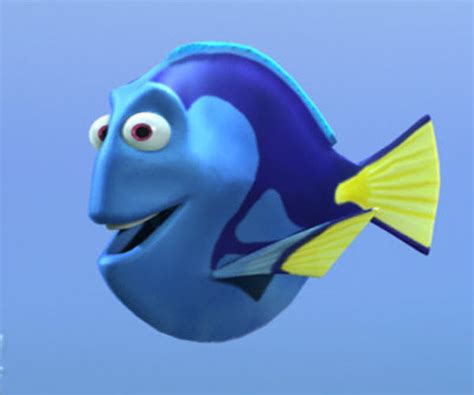 dory fish picture, dory fish photo, dory fish wallpaper