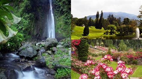 8 Objek Wisata di Kebun Raya Cibodas dan Fasilitas Pendukung