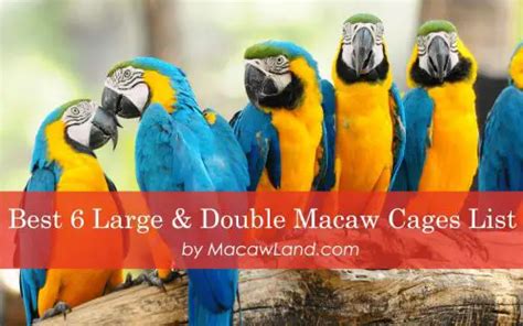 6 Large Best Macaw Cages Review & Buying Guide {2022 Collections}