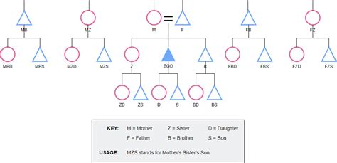 What is Kinship Diagram?