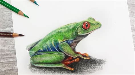 Green Tree Frog Original Colored Pencil Art Portrait - craibas.al.gov.br