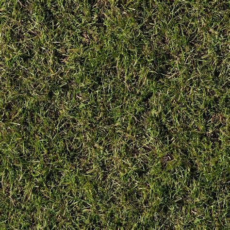 Seamless Grass Texture Grass Texture Seamless, Asphalt Texture, Soil Texture, Floor Texture ...