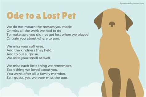 Pet Loss Poems