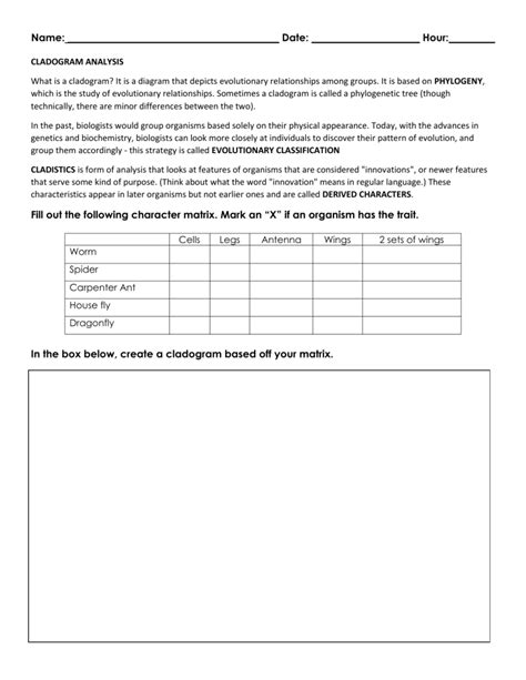 Cladogram worksheet