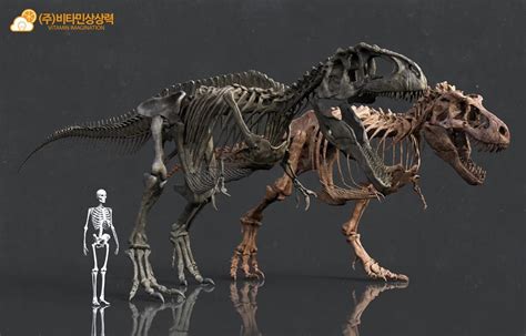 Giganotosaurus y Tyrannosaurus rex 2 | Prehistoric animals, Prehistoric dinosaurs, Prehistoric