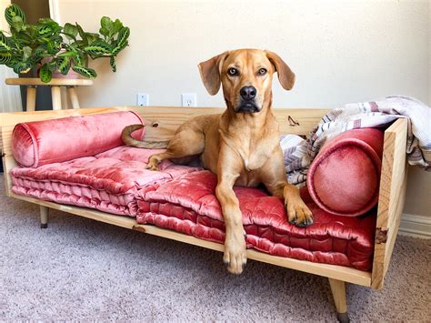 Easy Dog Bed DIY