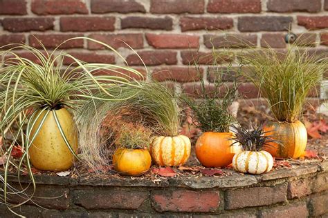 Give Your Home Fall Flair by Decorating with Pumpkins and Gourds | Better Homes & Gardens