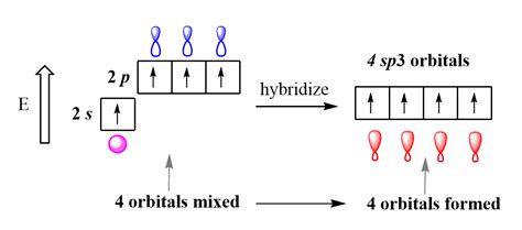 Hybridization Chemistry