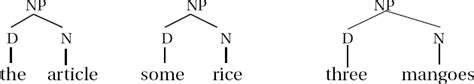 Chapter 6. Noun Phrases – York Syntax: ENG 270 at York College