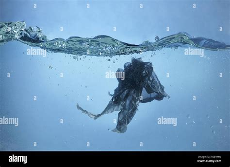 Pollution problem - plastic bag in the ocean Stock Photo - Alamy