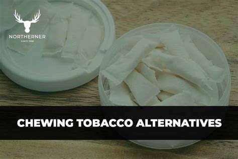 Chewing Tobacco Alternatives - Best products to quit tobacco