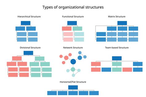 7 types of organizational structures to organize the company organization chart 12753168 Vector ...