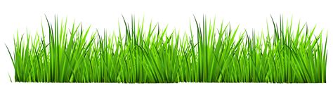 Green Grass Cartoon Images : Clipart Grass Transparent Cartoon Background Library Green ...