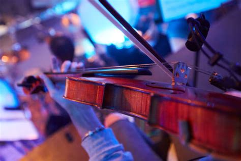 610+ Tuning A Violin Stock Photos, Pictures & Royalty-Free Images - iStock