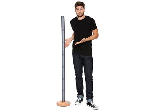 Seinfeld Festivus Pole - GeekAlerts