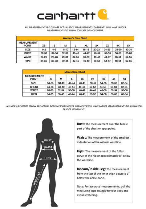 Carhartt Women's Belt Size Chart | MSU Program Evaluation