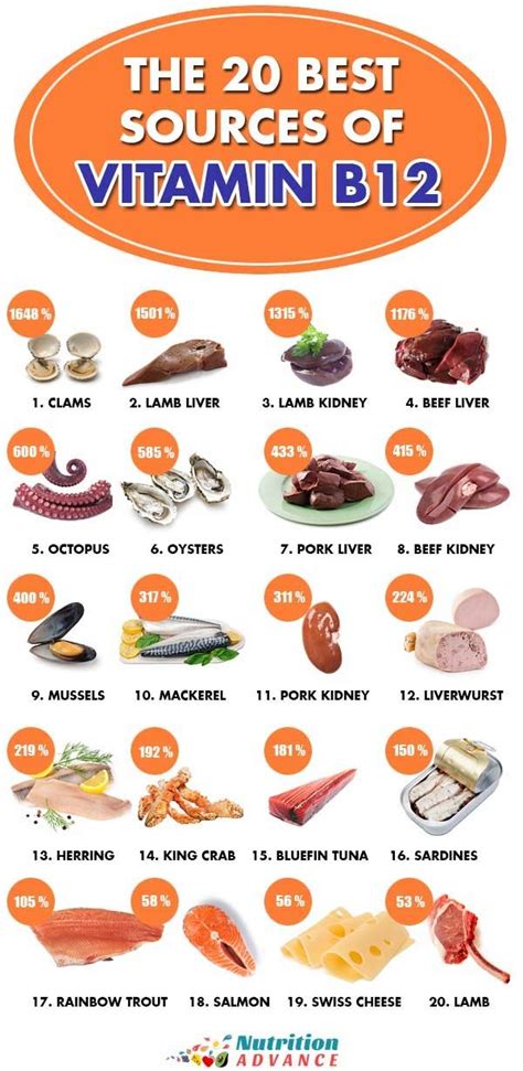 The Top 20 Foods High In Vitamin B12 | Infographic