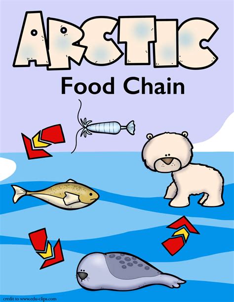 Let's Study the Arctic Food Chain - Only Passionate Curiosity