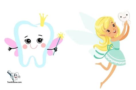 Who Is My Real Tooth Fairy