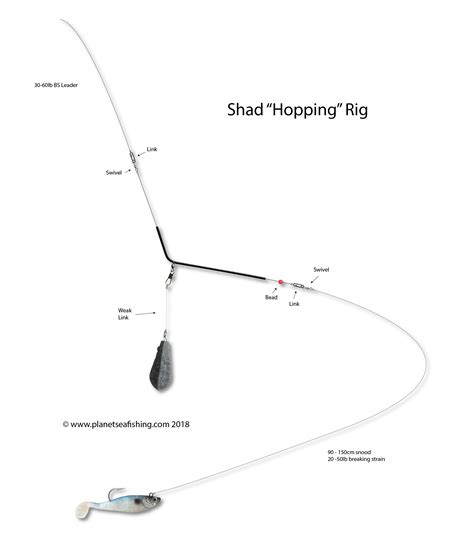 How to Tie a Shad Rig or Hopping Rig | Planet Sea Fishing