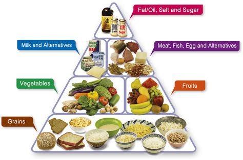 Centre for Health Protection - The Food Pyramid – A Guide to a Balanced Diet