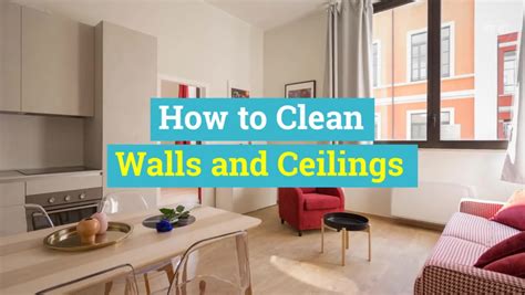 How To Steam Clean Walls And Ceilings | Shelly Lighting