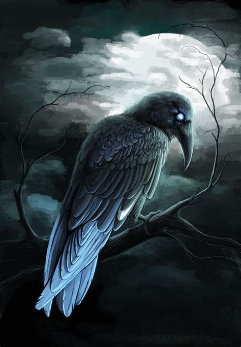 Blue-tailed raven | Raven artwork, Raven art, Raven