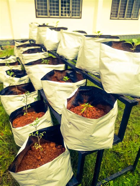 8 Best Grow Bags Reviews - Create A Garden Anywhere