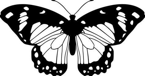 Free Butterfly Images Black And White, Download Free Butterfly Images Black And White png images ...