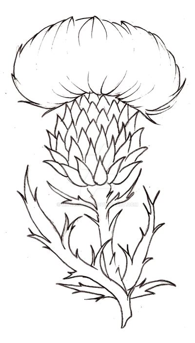 Thistle Flower Tattoo by Metacharis on DeviantArt